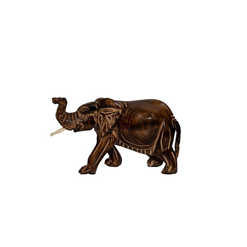 Drunk -Up Elephant Caving"